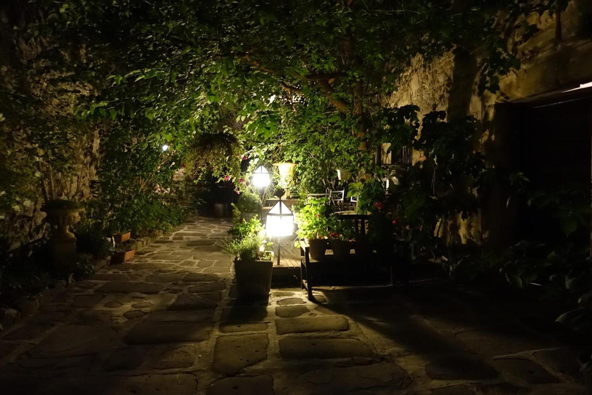 Chateau Rosans Bed and Breakfast Εξωτερικό φωτογραφία